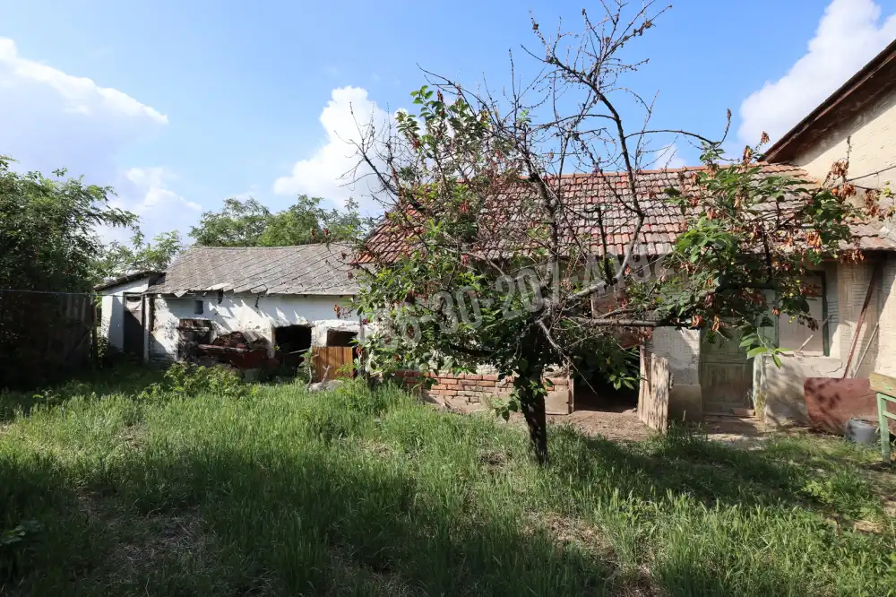 Csongrád megye - Baks