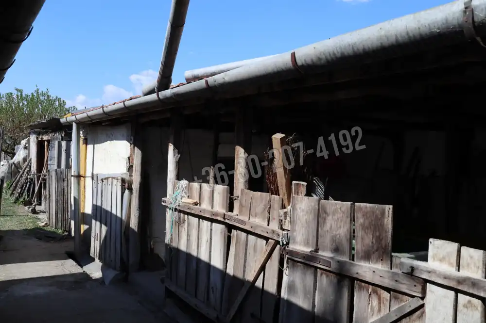 Csongrád megye - Csengele