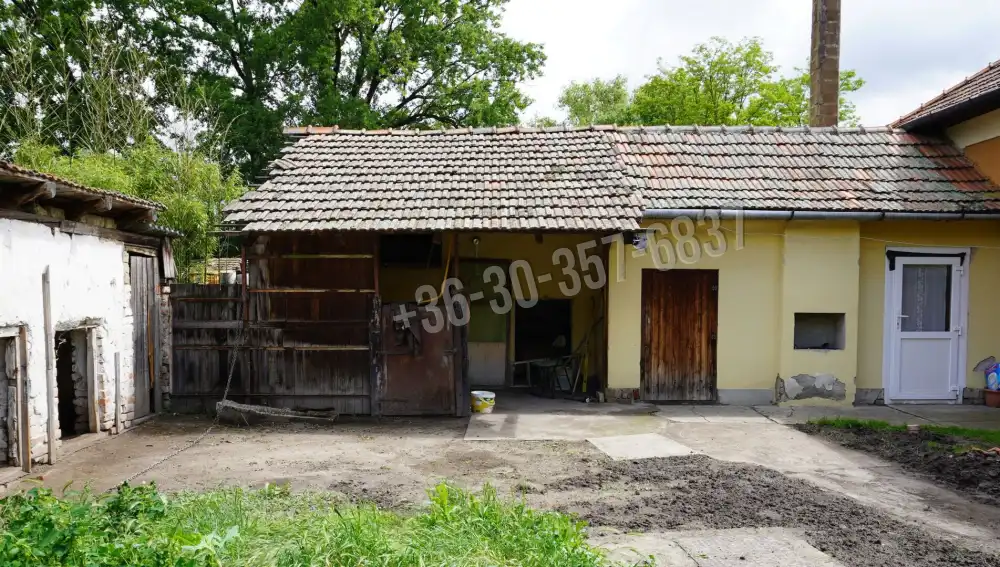 Csongrád megye - Sándorfalva