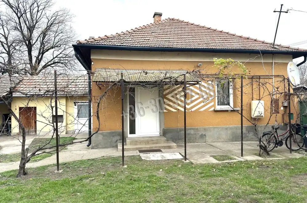 Csongrád megye - Sándorfalva