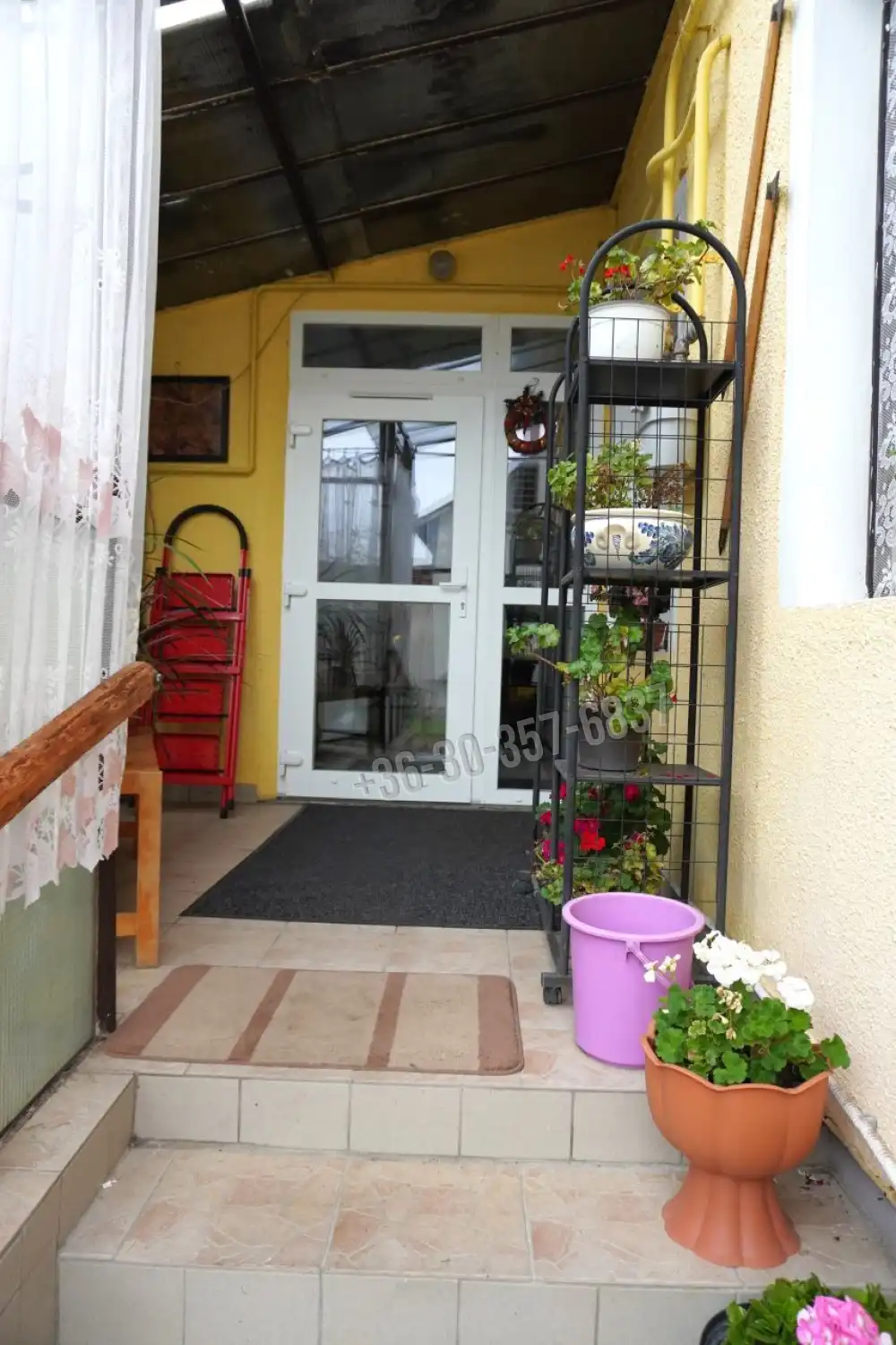 Csongrád megye - Sándorfalva