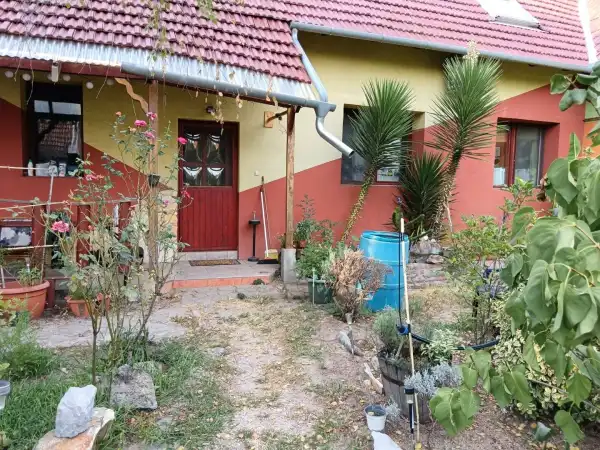 Eladó családi ház, Sándorfalva 5 szoba 120 m² 84.9 M Ft