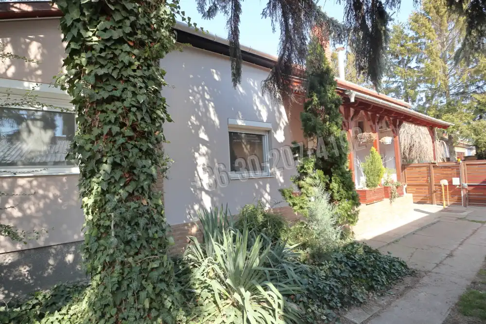 Csongrád megye - Sándorfalva