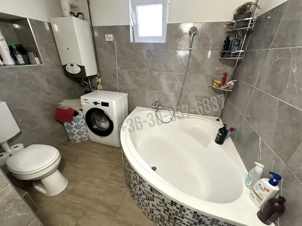 Csongrád megye - Sándorfalva