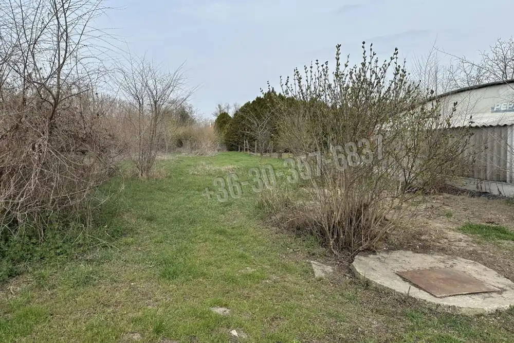 Csongrád megye - Sándorfalva