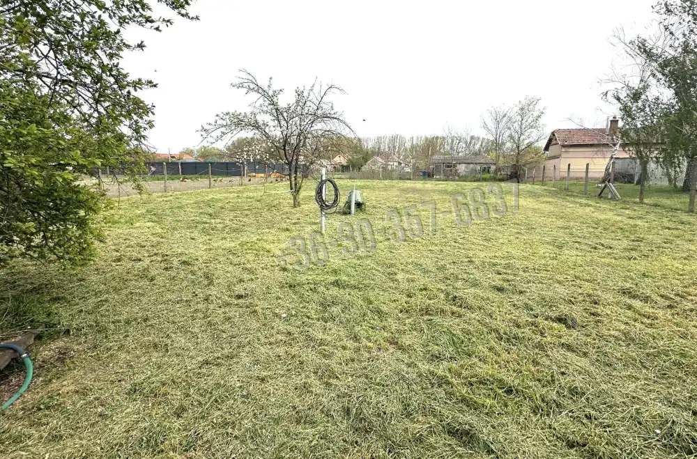 Csongrád megye - Sándorfalva