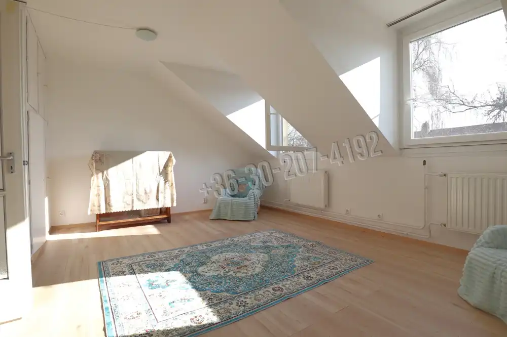 Csongrád megye - Szeged