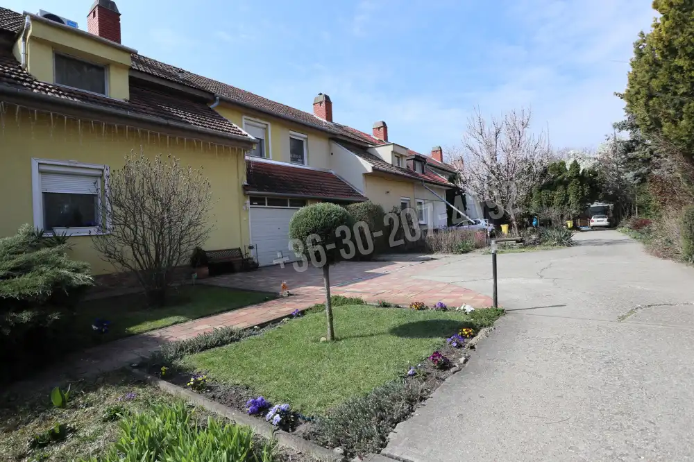 Csongrád megye - Szeged