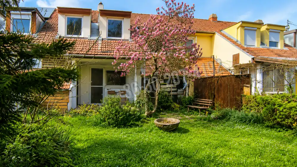 Csongrád megye - Szeged