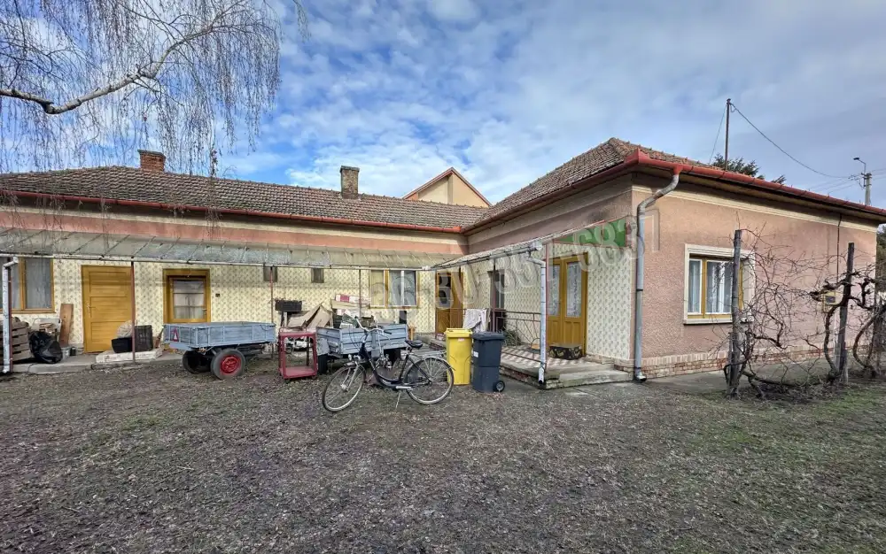 Csongrád megye - Zsombó