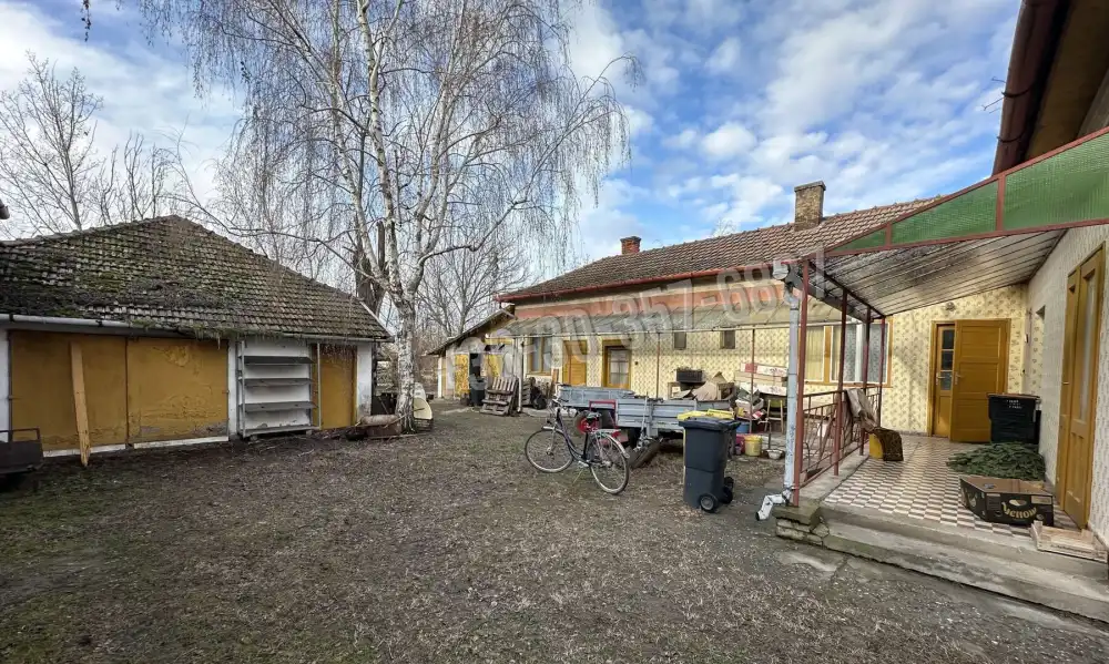 Csongrád megye - Zsombó