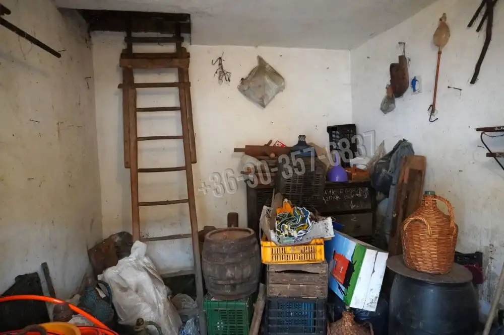 Csongrád megye - Zsombó