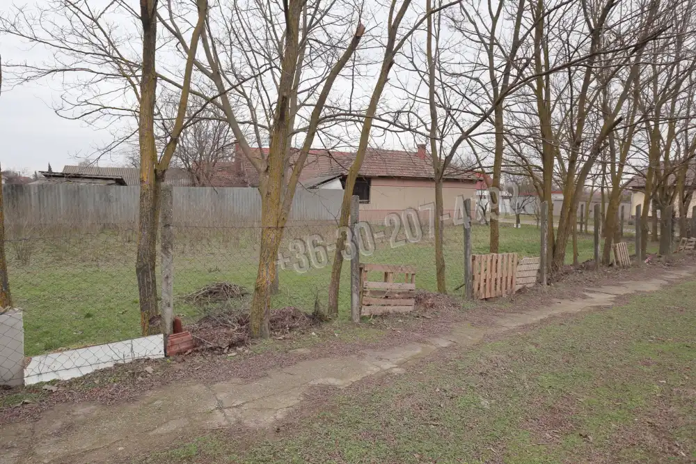 Csongrád megye - Sándorfalva