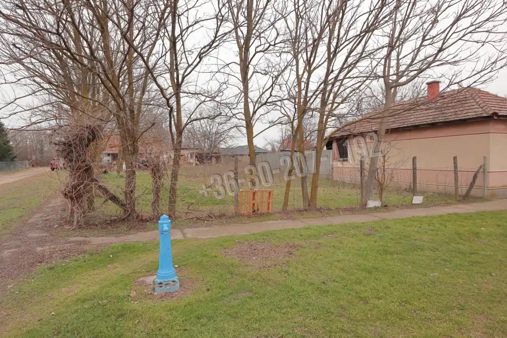 Csongrád megye - Sándorfalva