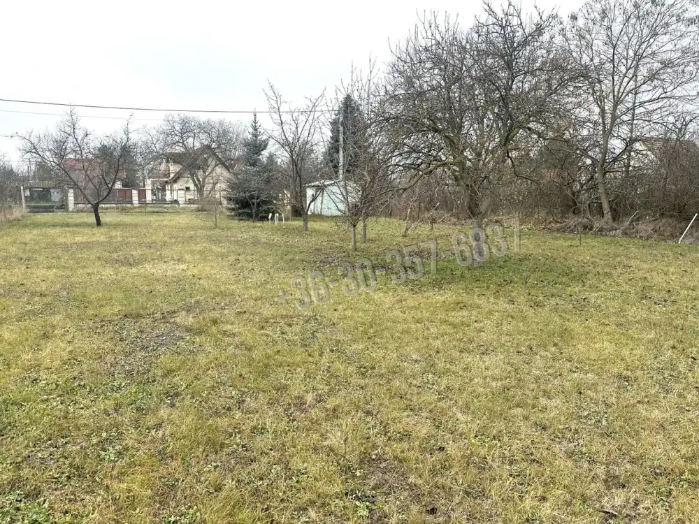 Csongrád megye - Szeged