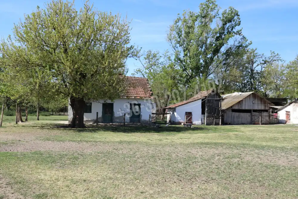 Csongrád megye - Balástya