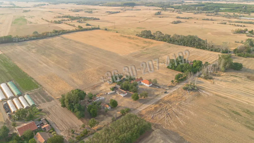 Csongrád megye - Balástya