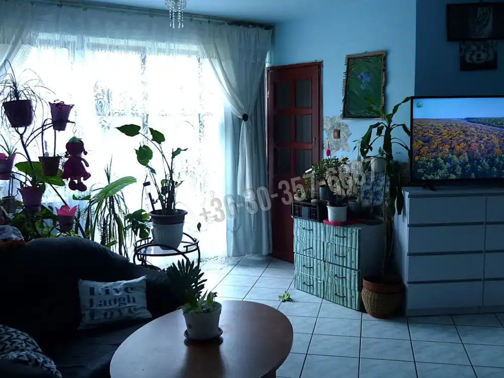 Csongrád megye - Szeged-Gyálarét