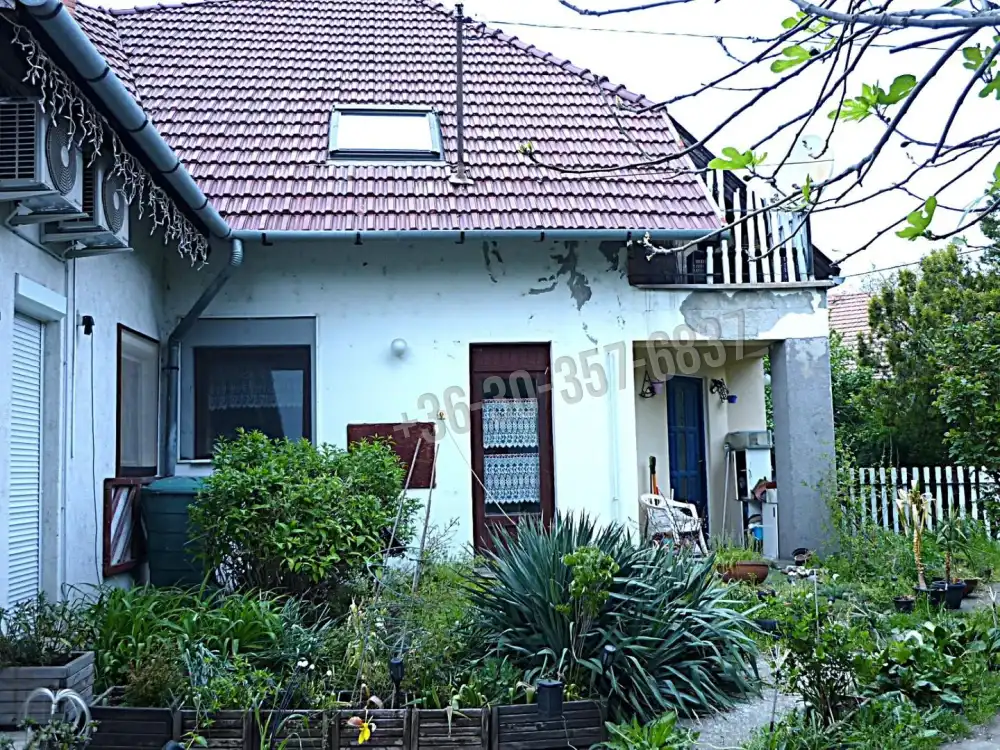 Csongrád megye - Szeged-Gyálarét