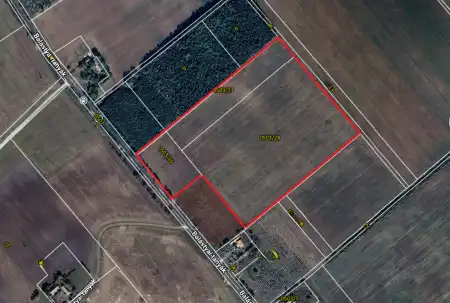 Eladó mezőgazdasági ingatlan, Balástya 57412 m² 9.9 M Ft