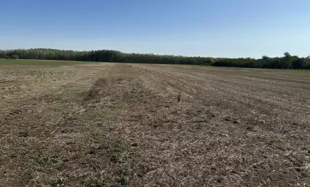 Eladó mezőgazdasági ingatlan, Kistelek 38211 m² 7.6 M Ft