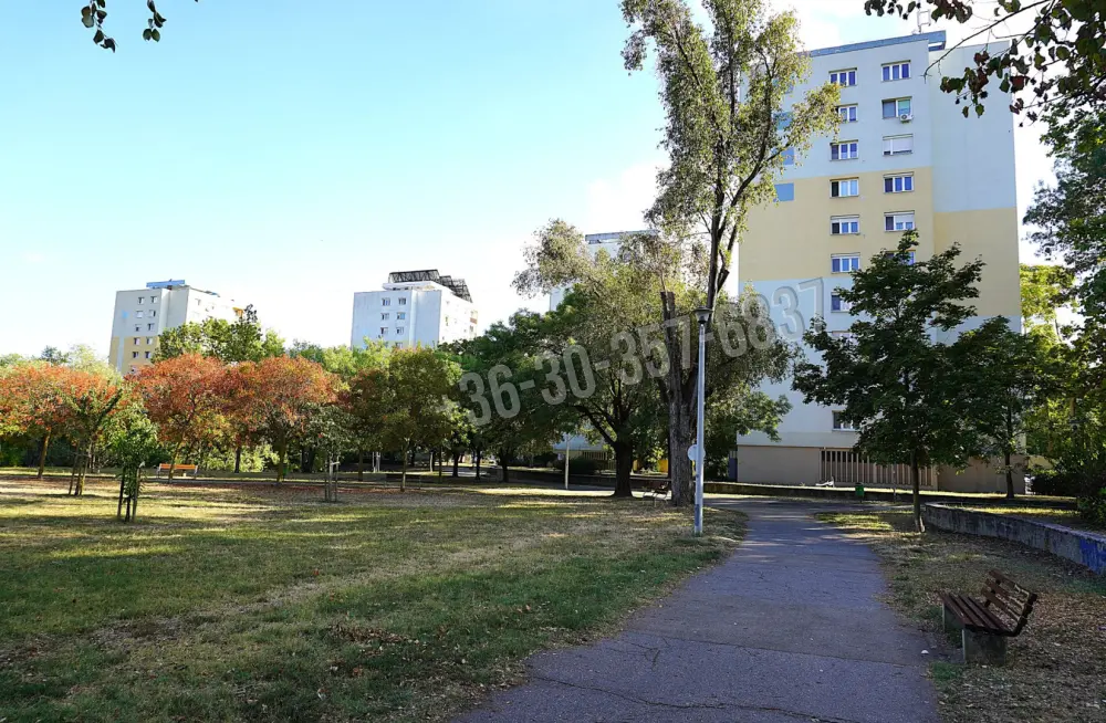 Csongrád megye - Szeged