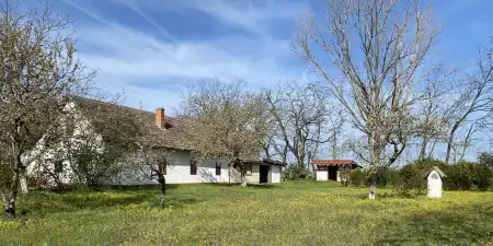 Eladó tanya, Balástya 5 szoba 150 m² 32 M Ft