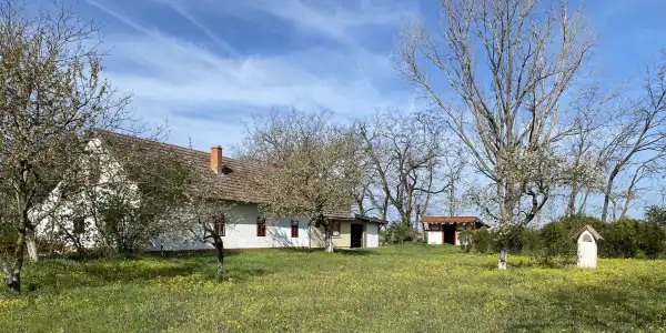 Eladó tanya, Balástya 5 szoba 150 m² 32 M Ft