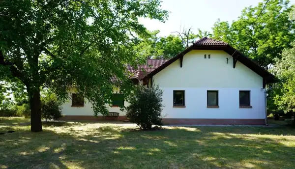 Eladó tanya, Balástya 6 szoba 135 m² 55 M Ft