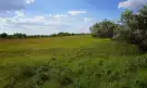 Csongrád megye - Balástya