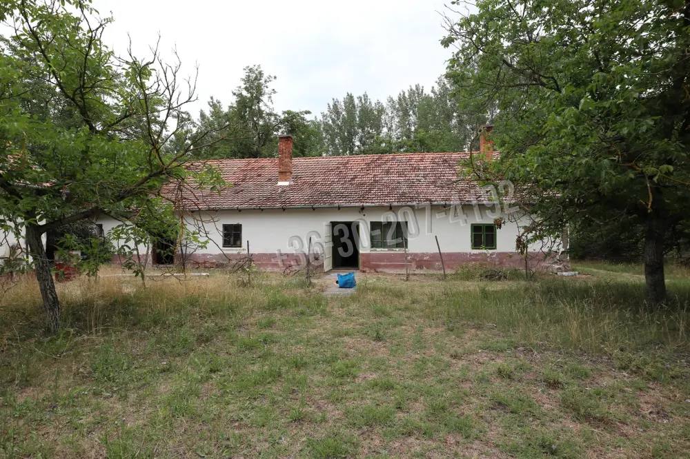 Csongrád megye - Balástya