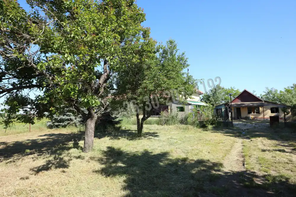 Csongrád megye - Csanytelek