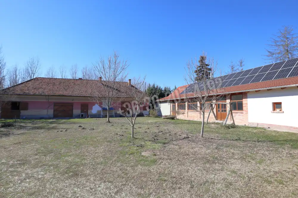 Csongrád megye - Domaszék