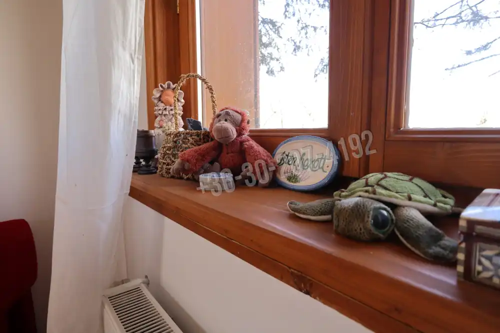 Csongrád megye - Domaszék