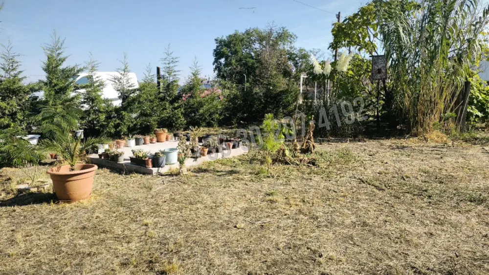 Csongrád megye - Kistelek