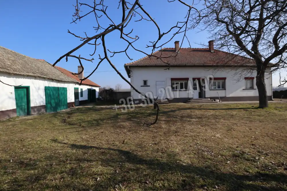 Csongrád megye - Szatymaz