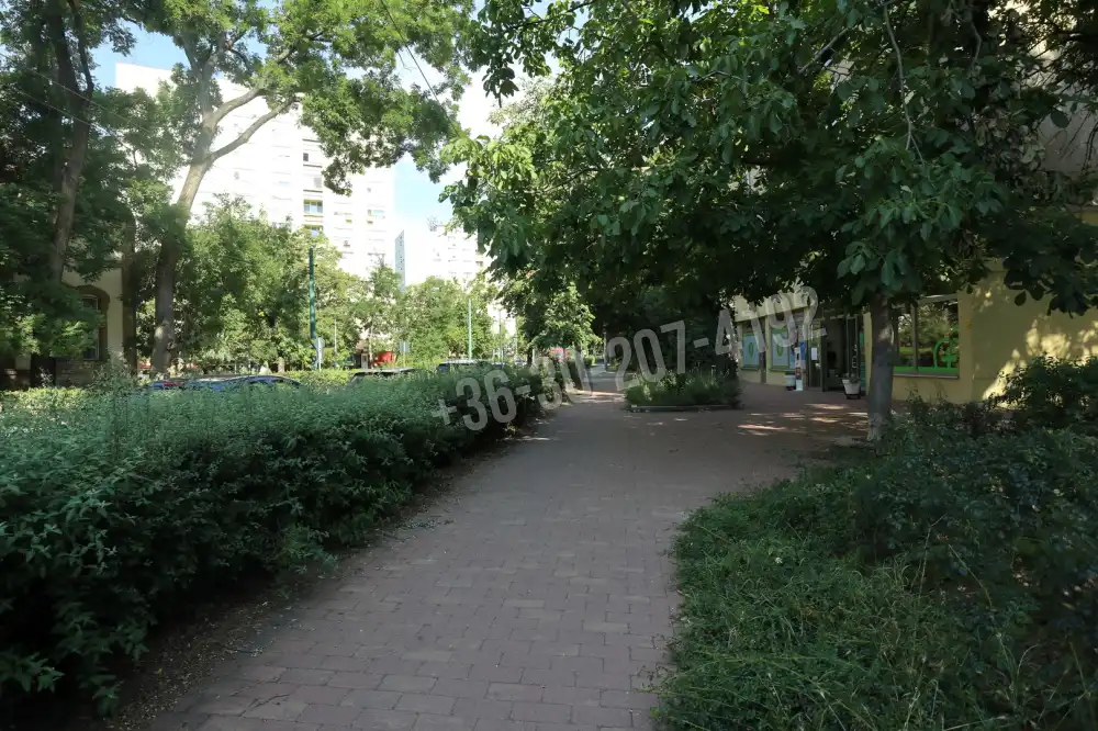 Csongrád megye - Szeged