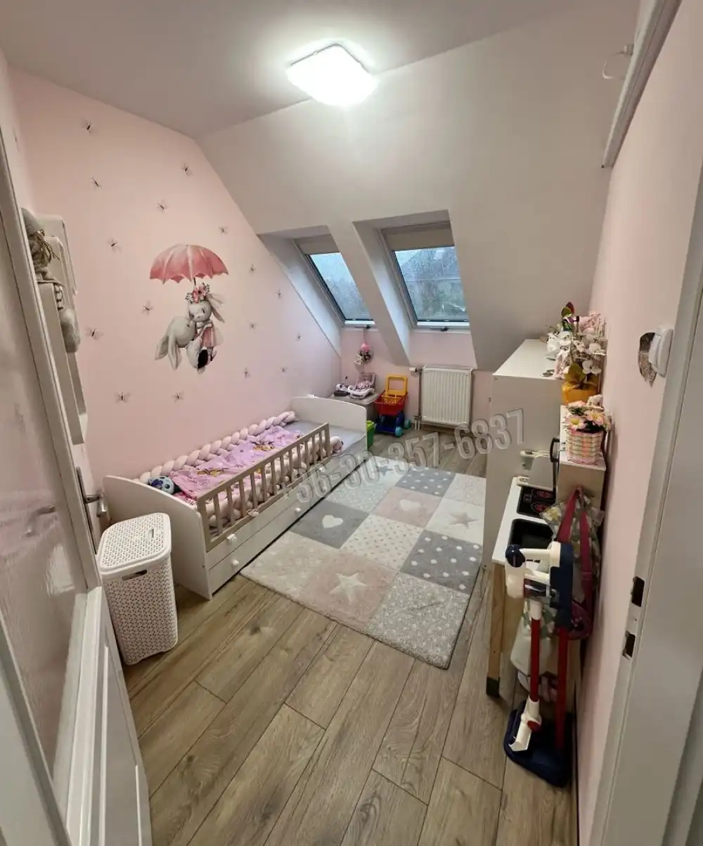 Csongrád megye - Szeged