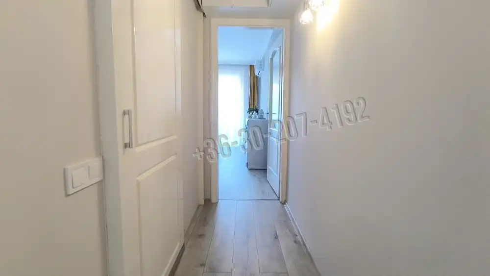 Csongrád megye - Szeged