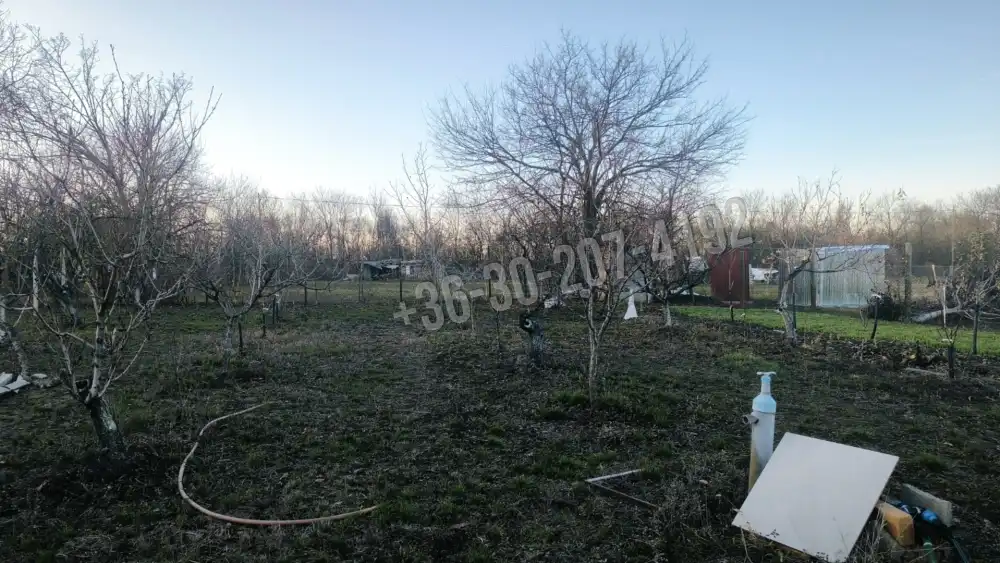 Csongrád megye - Újszentiván