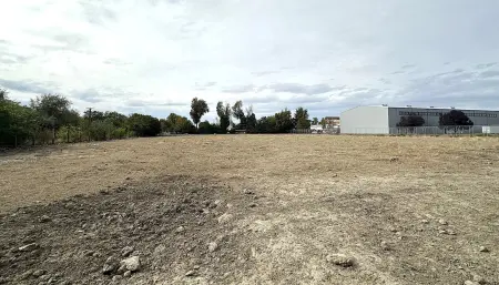 Kiadó ipari ingatlan, Szeged 8000 m² 1 E Ft/hó + Áfa